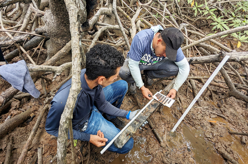 Afirman expertas: “Panamá protege sus humedales para luchar contra el cambio climático” 