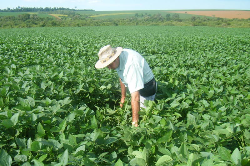 México requiere de soberanía alimentaria para dejar de depender de EUA