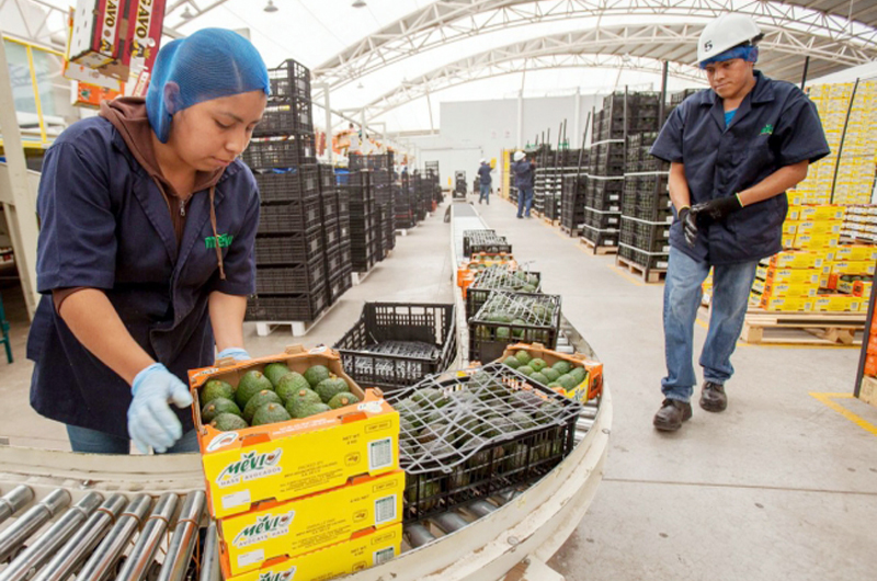 Octava Semana de Derechos Laborales: Una oportunidad que no puede echarse en saco roto