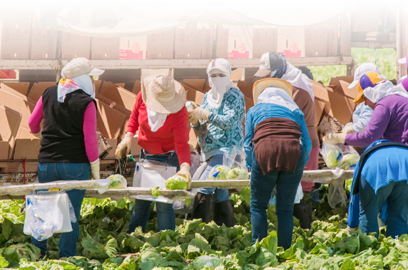 La Columna Vertebral: Así celebran nuestros trabajadores esenciales