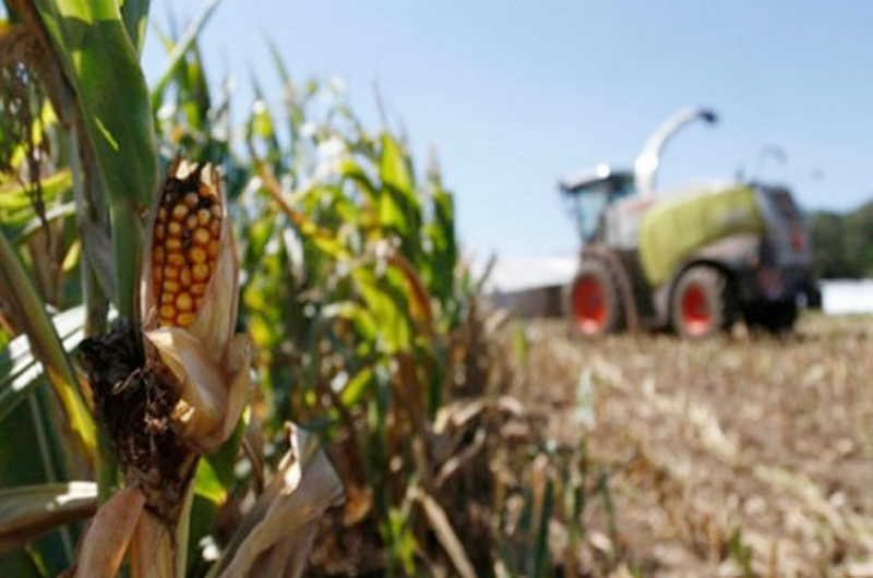 México y Honduras atenderán migración con desarrollo agropecuario