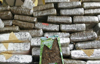 Confiscan 10 toneladas de marihuana en Arizona