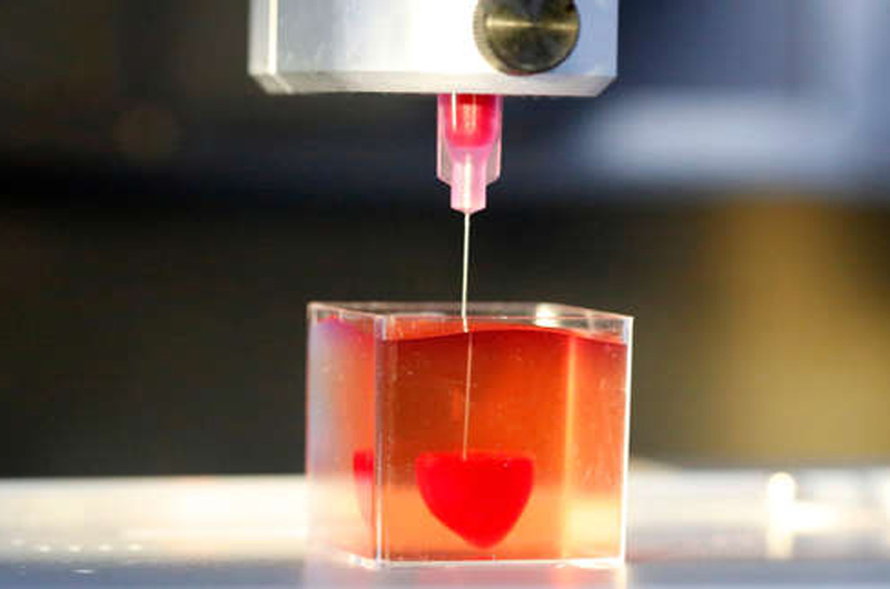 Científicos israelíes imprimen primer corazón 3D con tejido humano