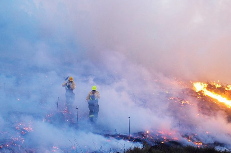 Mexicanos crean red de sensores para alertar de incendios forestales
