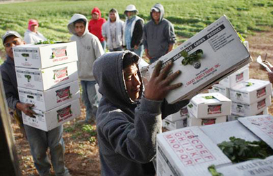 Mayoría de indocumentados mexicanos en EU sufre abuso laboral