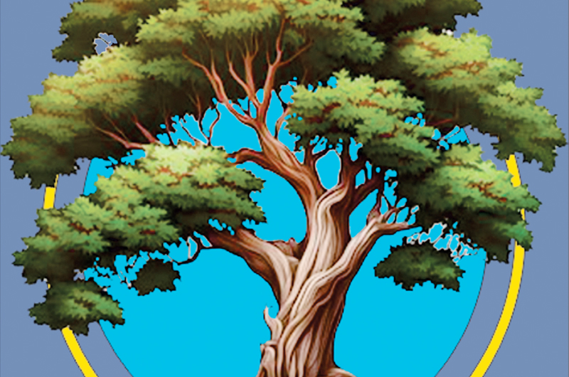 Editorial: Ese excelente amigo que es el árbol