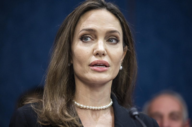 Angelina Jolie demanda a Brad Pitt por 250 millones de dólares