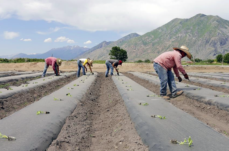 Informe destaca aportes 