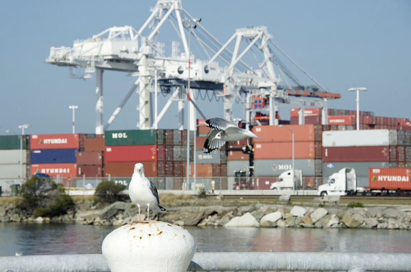 El Congreso de EEUU aprueba una ley para descongestionar los puertos