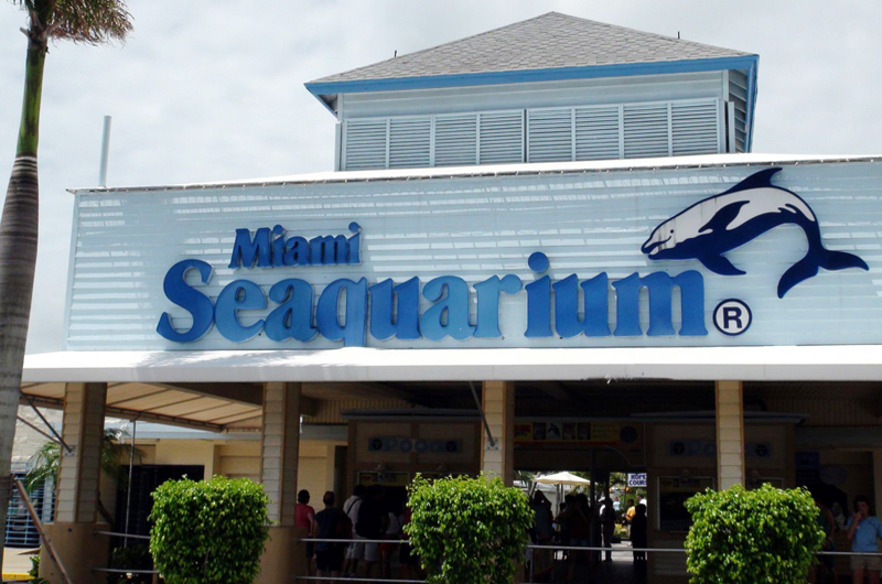 El gobierno rescinde el contrato con el Miami Seaquarium por el deterioro de los animales