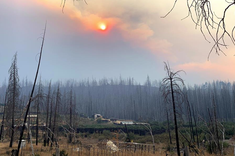 California contra Trump: La trinchera ante la crisis climática