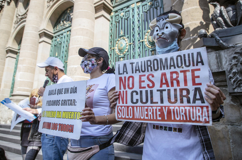 México cumple 10 años de la primera prohibición estatal de las corridas toros