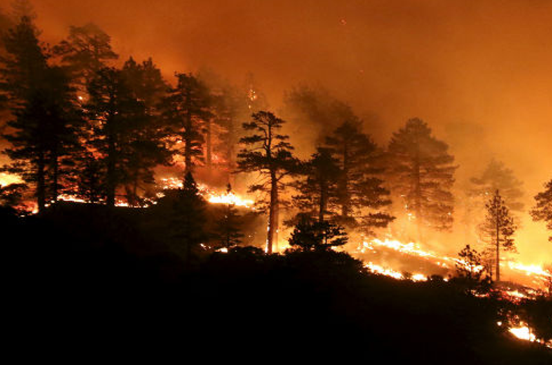 Evacuan a cientos de personas por incendios forestales en California