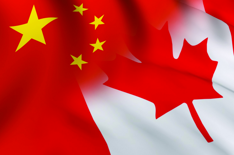 Tensión China-Canadá sube tras suspensión de ventas de canola canadiense
