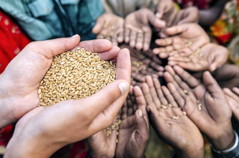 El mundo está al borde de una pandemia alimentaria por COVID-19: ONU