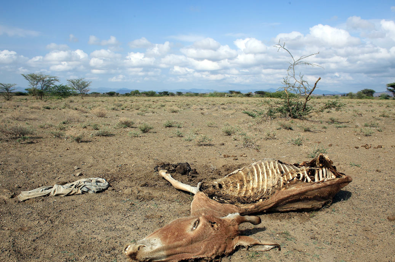 Lejos de cumplirse objetivo sobre cambio climático advierte Espinosa