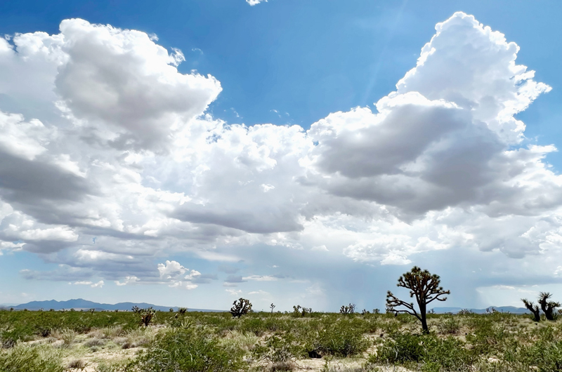 Joe Biden designa un nuevo monumento en el sur de Nevada