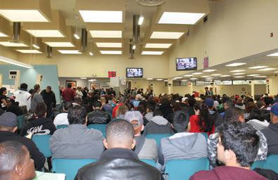 Llenan el DMV miles en busca de la nueva “Tarjeta para Manejar”