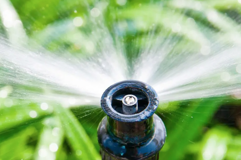 Autoridad del Agua llama a reducir el riego de los jardines