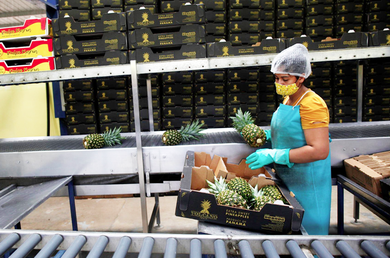 Cerca del 40 % de las mujeres trabaja en Panamá tras la covid, según un estudio