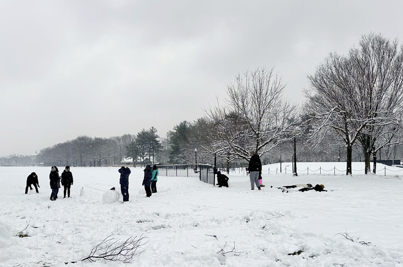 Tormenta de nieve deja un intenso frío y causa muertes y accidentes en EE.UU. 