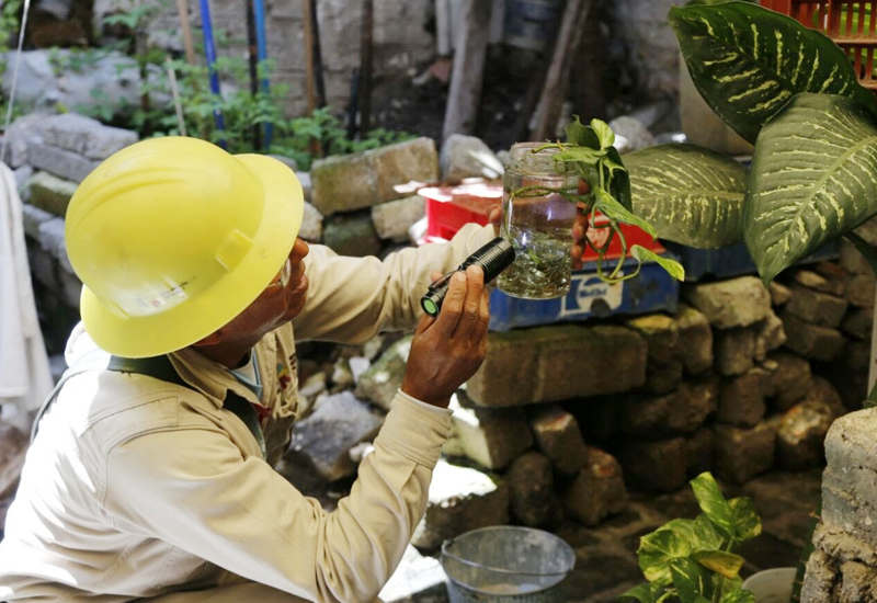 Suman 179 casos de dengue en Michoacán