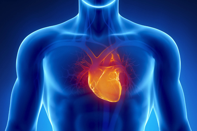 Advierten de riesgos cardiovasculares en jóvenes