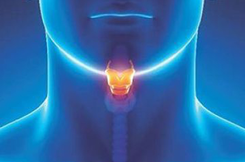 ¿Qué es la papilomatosis respiratoria?