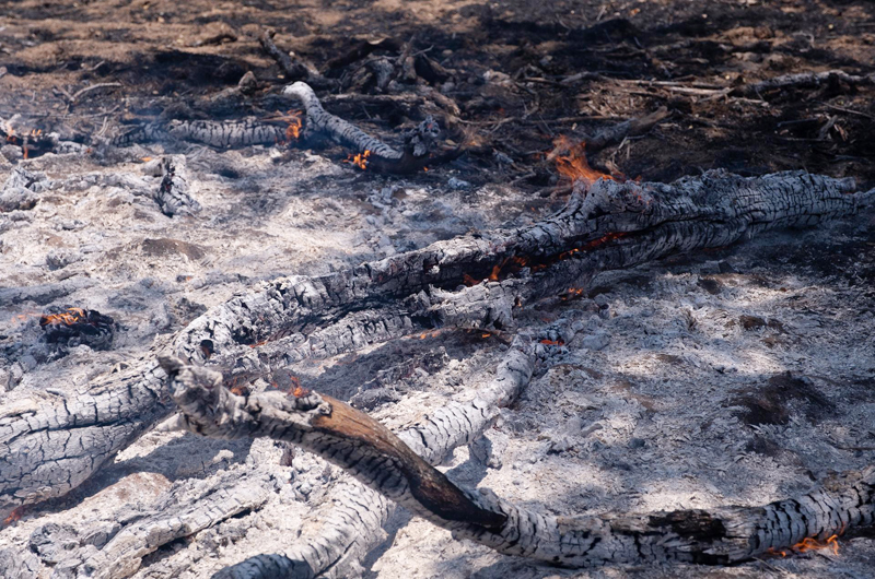  Los incendios forestales afectan desproporcionadamente a latinos en EEUU