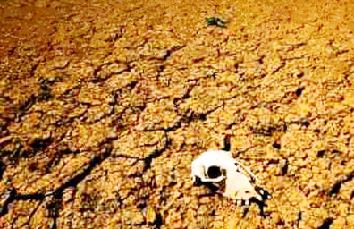 Sequía en California, la peor en los últimos 119 años