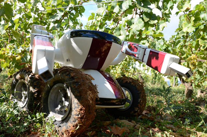 Diseñan robot con tecnología que apoyará agricultura mexicana
