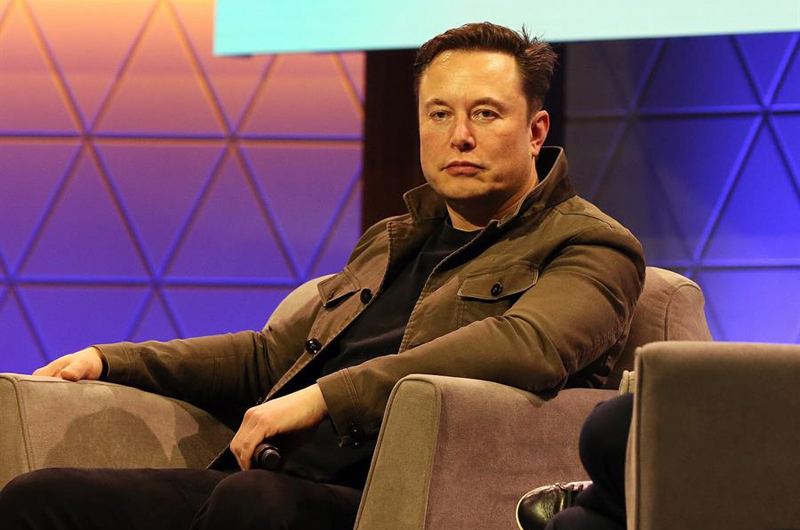 Musk presenta dispositivo probado en cerdos para medir actividad cerebral