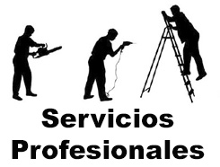 Servicios Profesionales