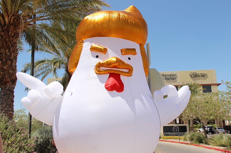 Conozca a la “Gallina Trump” que visitó Las Vegas
