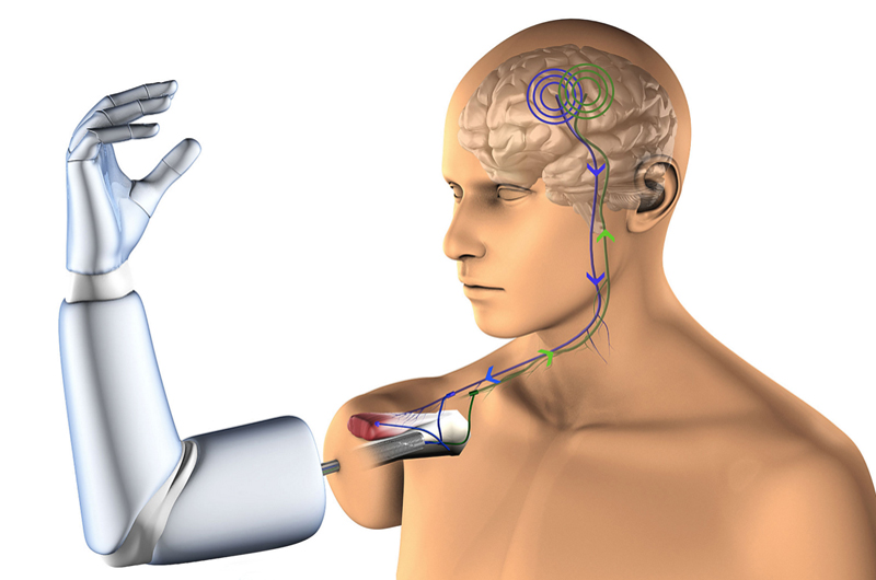 Biomateriales que mejoran respuesta del cuerpo humano a implantes